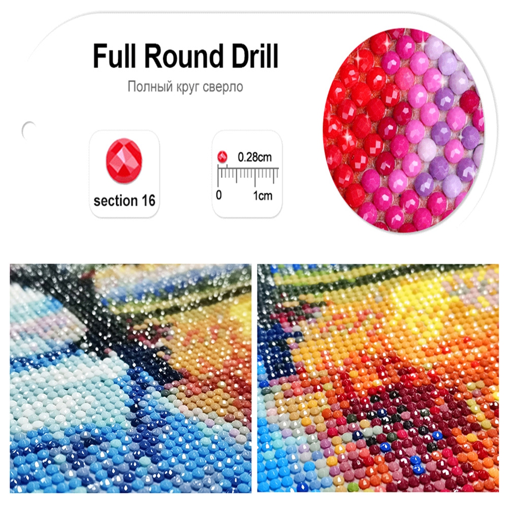 DIY Flowers Art Diamonds Paint - Embroidery Daisy บทวิจารณ์และราคา